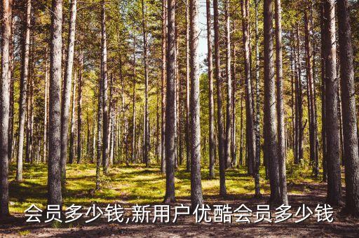 会员多少钱,新用户优酷会员多少钱