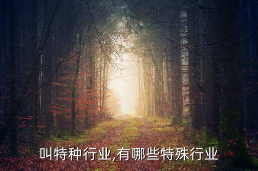 叫特种行业,有哪些特殊行业