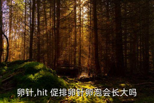 促排卵针,hit 促排卵针卵泡会长大吗?