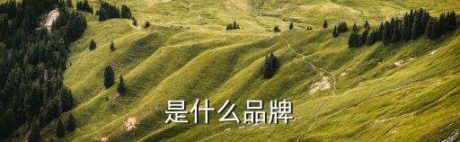 CK是什么品牌?