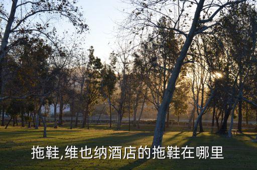 酒店拖鞋,维也纳酒店的拖鞋在哪里?