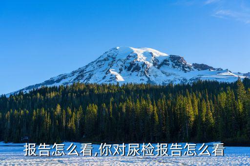 报告怎么看,你对尿检报告怎么看