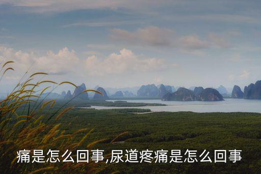 痛是怎么回事,尿道疼痛是怎么回事