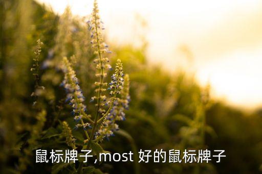 好的鼠标牌子,most 好的鼠标牌子