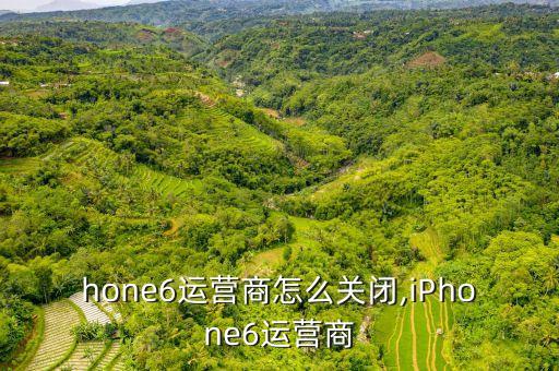 hone6运营商怎么关闭,iPhone6运营商