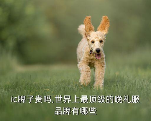 chic牌子贵吗,世界上最顶级的晚礼服品牌有哪些?