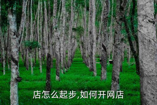店怎么起步,如何开网店