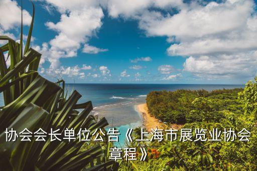 协会会长单位公告《上海市展览业协会章程》