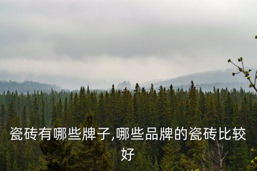 瓷砖有哪些牌子,哪些品牌的瓷砖比较好