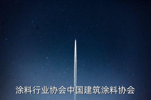 涂料行业协会中国建筑涂料协会