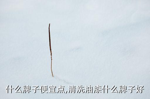 清漆什么牌子便宜点,清洗油漆什么牌子好?
