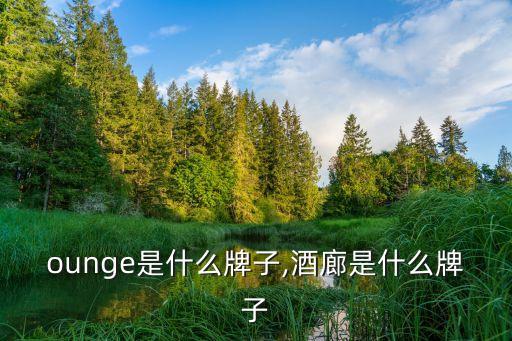 vlounge是什么牌子,酒廊是什么牌子?