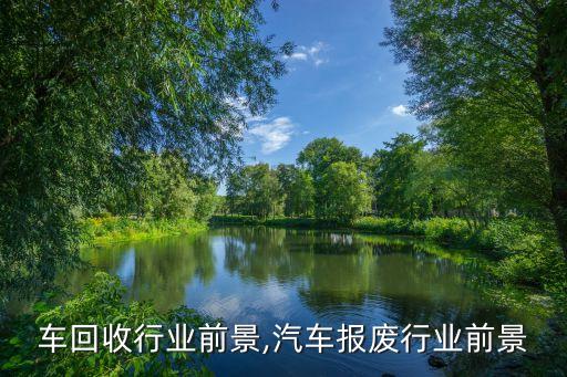 报废车回收行业前景,汽车报废行业前景