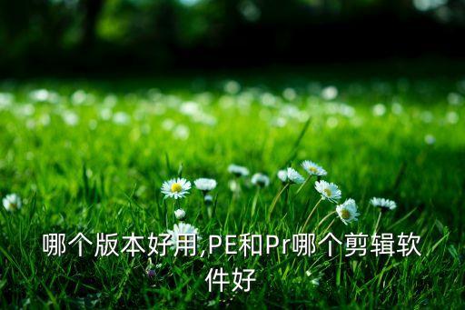pr哪个版本好用,PE和Pr哪个剪辑软件好??