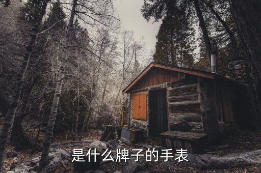 JL是什么牌子的手表?