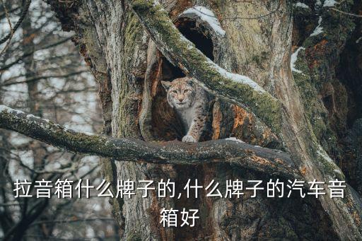 卡罗拉音箱什么牌子的,什么牌子的汽车音箱好?