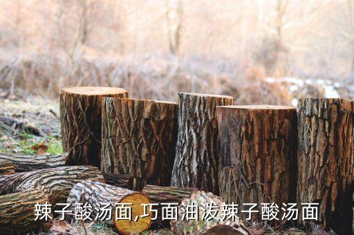 辣子酸汤面,巧面油泼辣子酸汤面