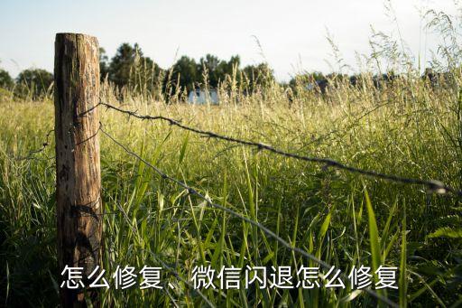 闪退怎么修复、微信闪退怎么修复