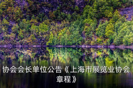 协会会长单位公告《上海市展览业协会章程》