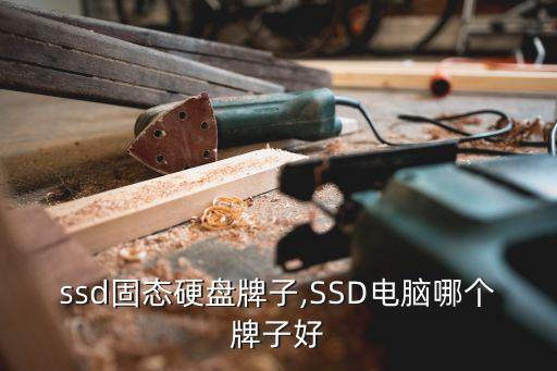 ssd固态硬盘牌子,SSD电脑哪个牌子好