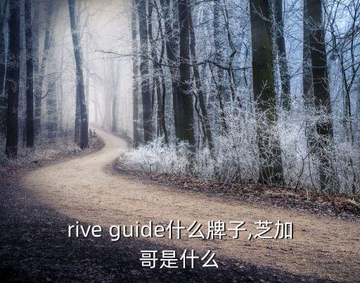 arrive guide什么牌子,芝加哥是什么?