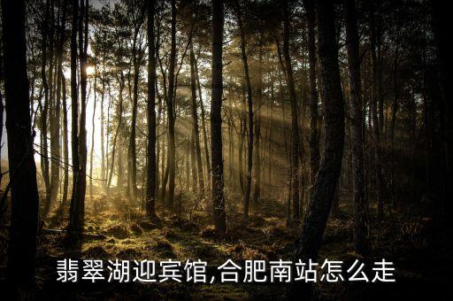 合肥翡翠湖迎宾馆,合肥南站怎么走?
