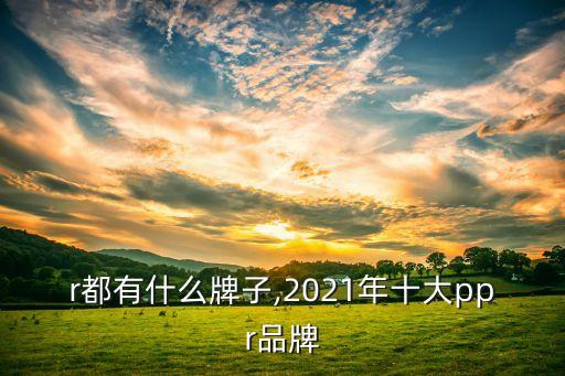 r都有什么牌子,2021年十大ppr品牌