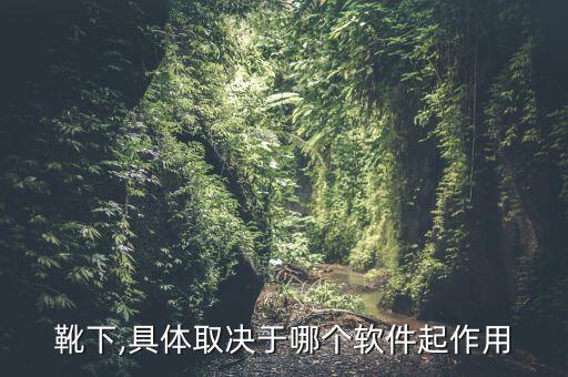 靴下,具体取决于哪个软件起作用