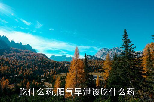 阳痿吃什么药,阳气早泄该吃什么药?
