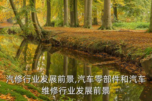 中国汽修行业发展前景,汽车零部件和汽车维修行业发展前景