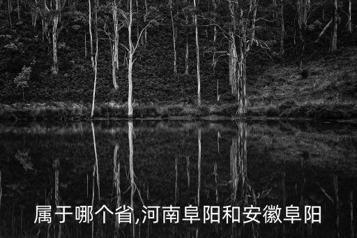 属于哪个省,河南阜阳和安徽阜阳
