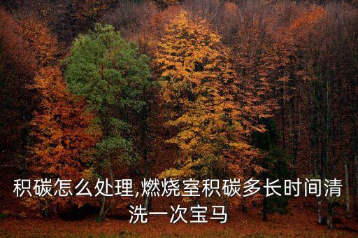 宝马积碳怎么处理,燃烧室积碳多长时间清洗一次宝马?