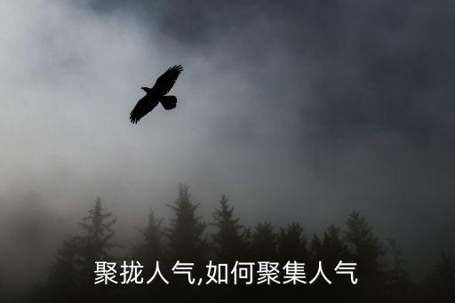 怎么聚拢人气,如何聚集人气