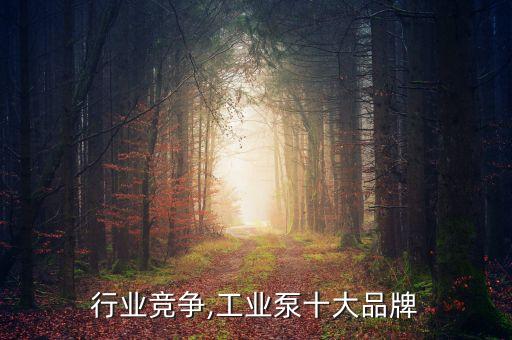 行业竞争,工业泵十大品牌