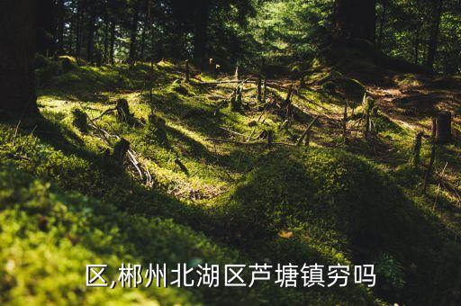 北湖区,郴州北湖区芦塘镇穷吗?