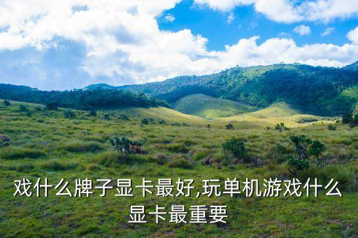 玩游戏什么牌子显卡最好,玩单机游戏什么显卡最重要?