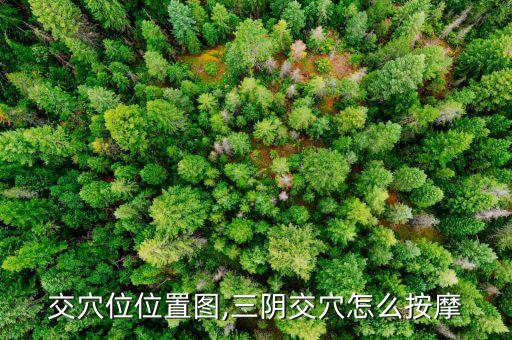 交穴位位置图,三阴交穴怎么按摩