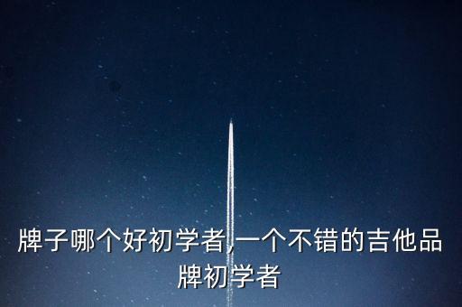 吉他牌子哪个好初学者,一个不错的吉他品牌初学者