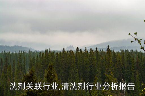 洗剂关联行业,清洗剂行业分析报告