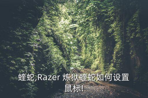 炼狱蝰蛇,Razer 炼狱蝰蛇如何设置鼠标!?