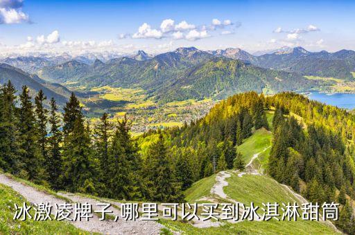 蛋卷冰激凌牌子,哪里可以买到冰淇淋甜筒?