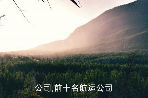 航运公司,前十名航运公司