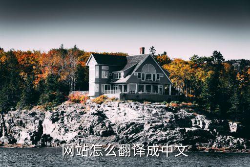 网站怎么翻译成中文
