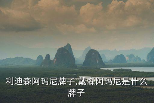 利迪森阿玛尼牌子,戴森阿玛尼是什么牌子