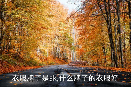 什么衣服牌子是sk,什么牌子的衣服好?