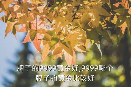 哪个牌子的9999黄金好,9999哪个牌子的黄金比较好?