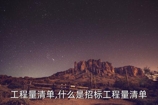 招标工程量清单,什么是招标工程量清单