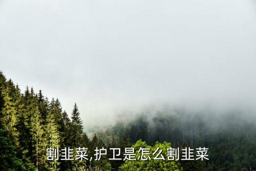 怎么割韭菜,护卫是怎么割韭菜