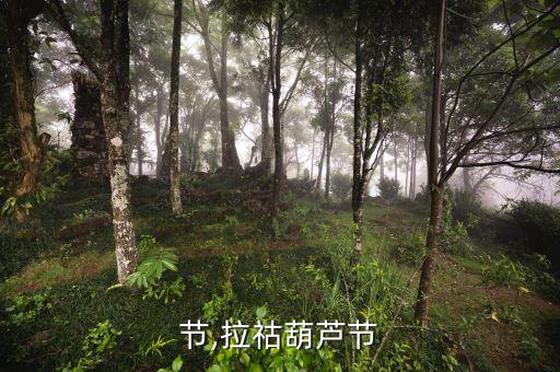节,拉祜葫芦节