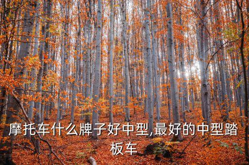 踏板摩托车什么牌子好中型,最好的中型踏板车